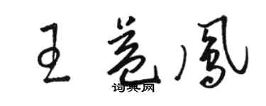 駱恆光王益鳳草書個性簽名怎么寫