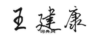 駱恆光王建康行書個性簽名怎么寫