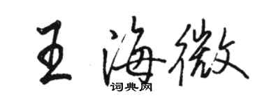 駱恆光王海微行書個性簽名怎么寫