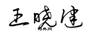 曾慶福王曉健草書個性簽名怎么寫