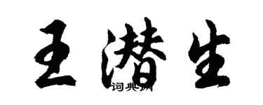 胡問遂王潛生行書個性簽名怎么寫