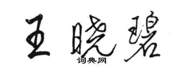 駱恆光王曉碧行書個性簽名怎么寫