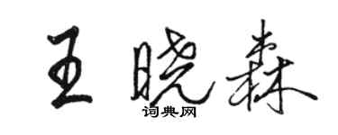 駱恆光王曉森行書個性簽名怎么寫