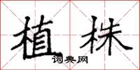 袁強植株楷書怎么寫