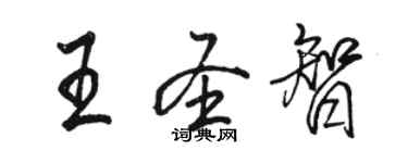 駱恆光王聖智行書個性簽名怎么寫