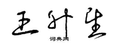 曾慶福王升望草書個性簽名怎么寫