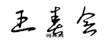 曾慶福王春會草書個性簽名怎么寫