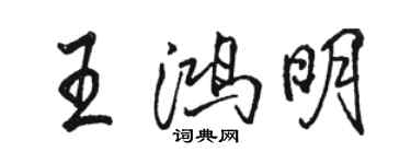 駱恆光王鴻明行書個性簽名怎么寫