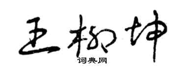 曾慶福王柳坤草書個性簽名怎么寫