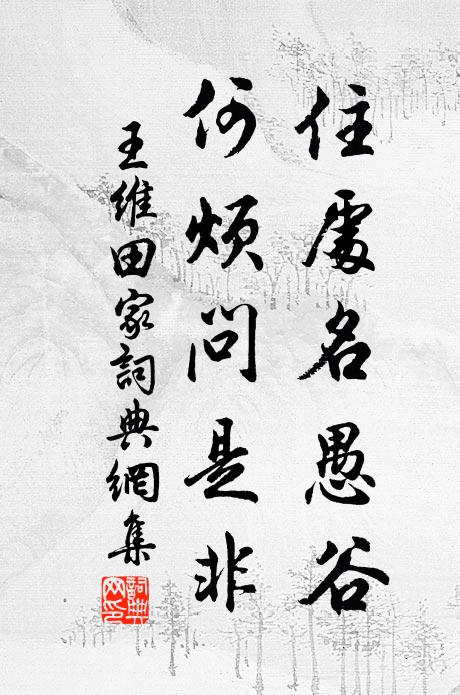 王維住處名愚谷,何煩問是非書法作品欣賞