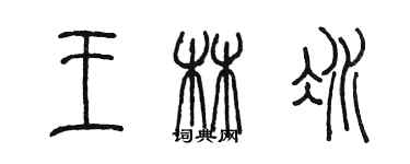 陳墨王林冰篆書個性簽名怎么寫