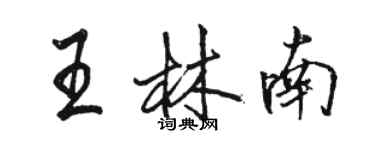 駱恆光王林南行書個性簽名怎么寫