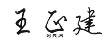 駱恆光王正建行書個性簽名怎么寫