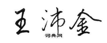 駱恆光王沛金行書個性簽名怎么寫