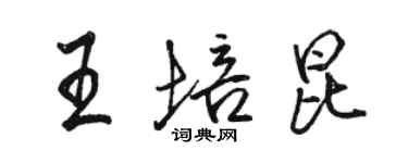 駱恆光王培昆行書個性簽名怎么寫