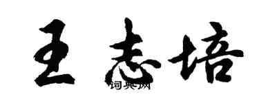 胡問遂王志培行書個性簽名怎么寫