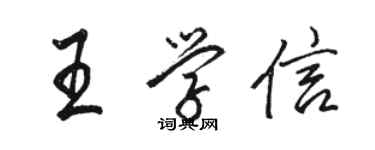 駱恆光王學信行書個性簽名怎么寫