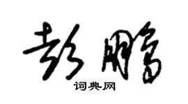 朱錫榮彭鵬草書個性簽名怎么寫