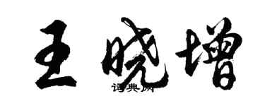 胡問遂王曉增行書個性簽名怎么寫