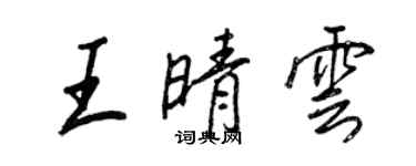 王正良王晴雲行書個性簽名怎么寫