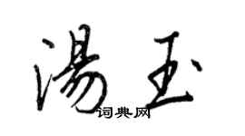 王正良湯玉行書個性簽名怎么寫