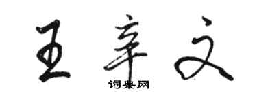 駱恆光王辛文行書個性簽名怎么寫