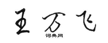 駱恆光王萬飛行書個性簽名怎么寫