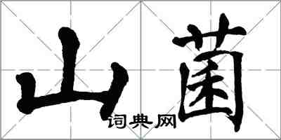 翁闓運山菌楷書怎么寫