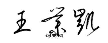 梁錦英王業凱草書個性簽名怎么寫