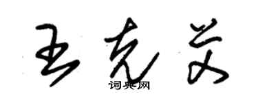 朱錫榮王克艾草書個性簽名怎么寫