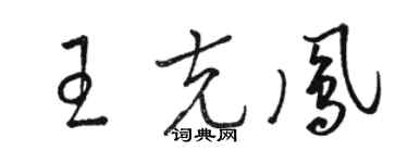 駱恆光王克鳳草書個性簽名怎么寫