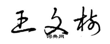 曾慶福王文樹草書個性簽名怎么寫