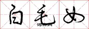 曾慶福白毛女草書怎么寫