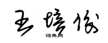 朱錫榮王培俊草書個性簽名怎么寫