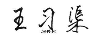 駱恆光王習渠行書個性簽名怎么寫