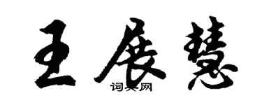 胡問遂王展慧行書個性簽名怎么寫