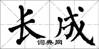 翁闓運長成楷書怎么寫