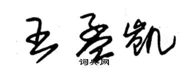 朱錫榮王孟凱草書個性簽名怎么寫