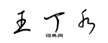 梁錦英王丁水草書個性簽名怎么寫