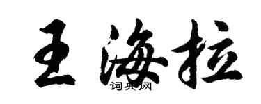 胡問遂王海拉行書個性簽名怎么寫