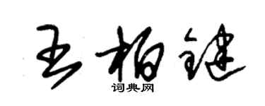 朱錫榮王柏鍵草書個性簽名怎么寫