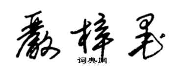 朱錫榮嚴梓墨草書個性簽名怎么寫