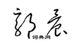 梁錦英郭晨草書個性簽名怎么寫