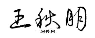 曾慶福王秋朋草書個性簽名怎么寫