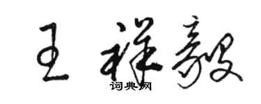 駱恆光王祥毅草書個性簽名怎么寫