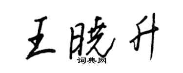 王正良王曉升行書個性簽名怎么寫