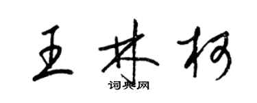 梁錦英王林柯草書個性簽名怎么寫