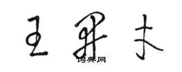 駱恆光王開才草書個性簽名怎么寫