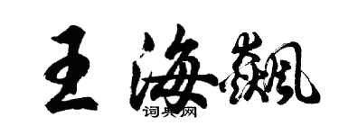胡問遂王海飆行書個性簽名怎么寫