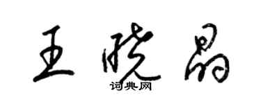 梁錦英王曉晶草書個性簽名怎么寫